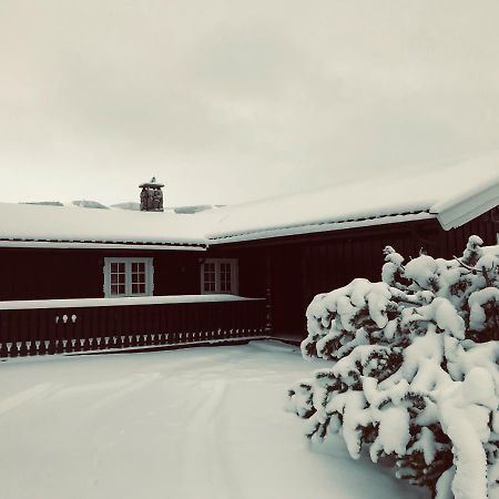 Vestlia Ski Geilo Exterior foto