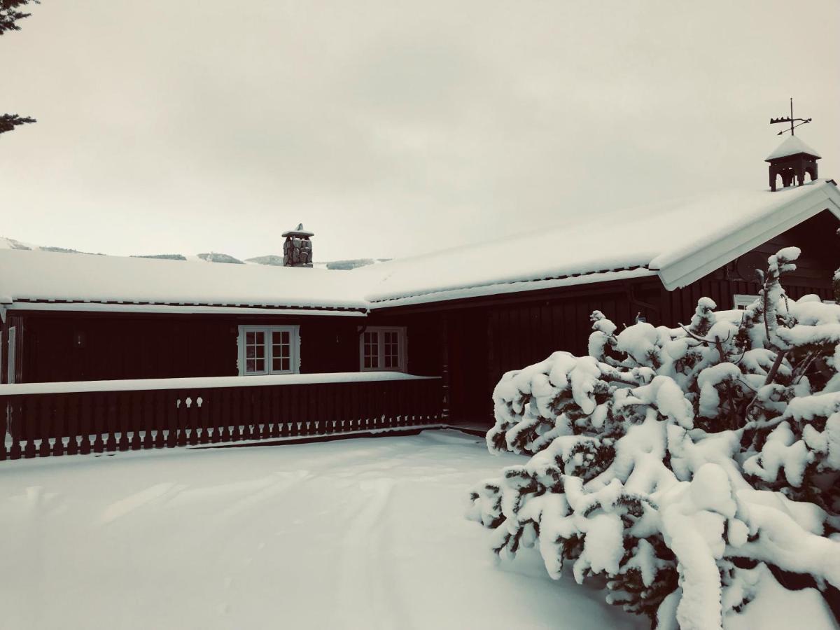 Vestlia Ski Geilo Exterior foto